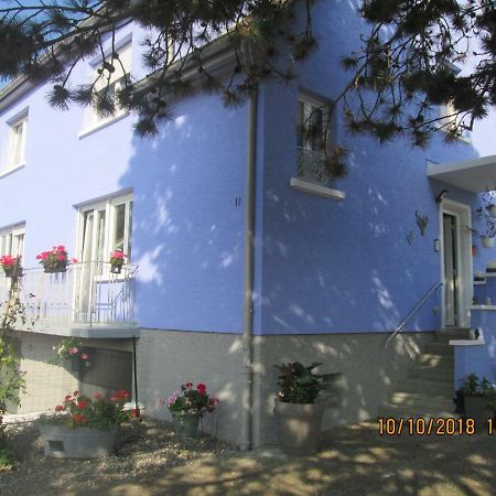 Gite Du Coq Lingolsheim Εξωτερικό φωτογραφία